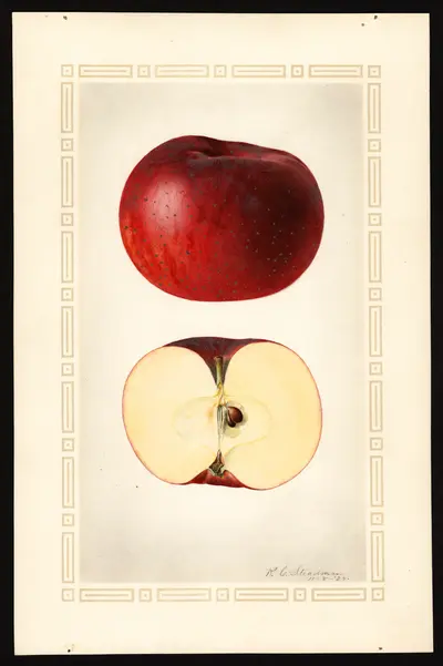 Watercolor of Evening Party