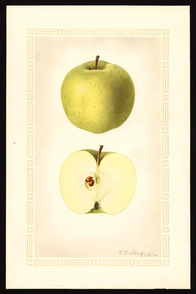 Watercolor of Fall Swaar