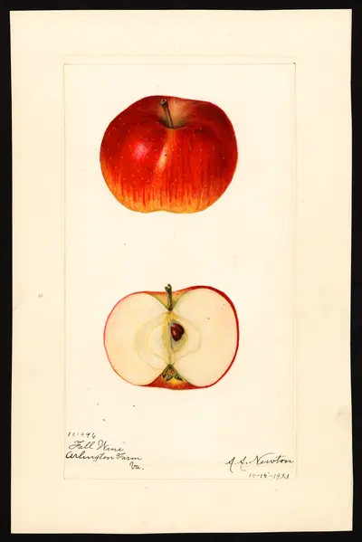 USDA watercolor illustration of Fall Wine