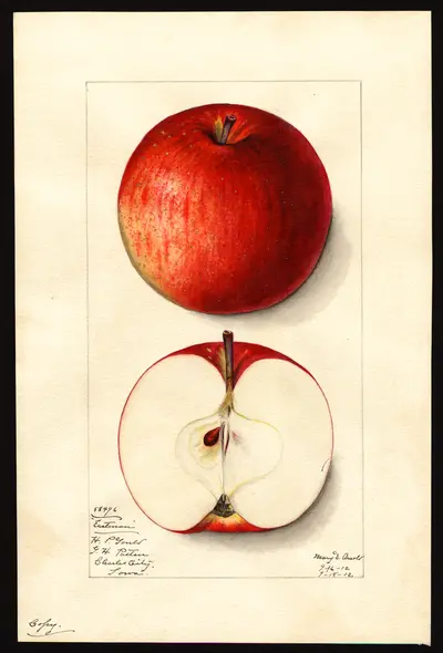 Watercolor of Eastman