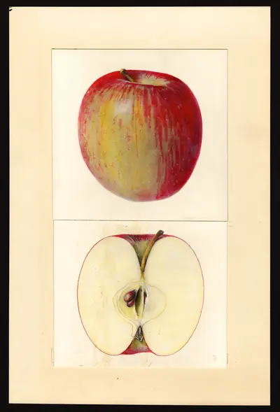 Watercolor of Edgewood