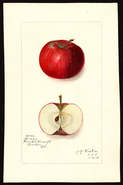 Watercolor of Givens