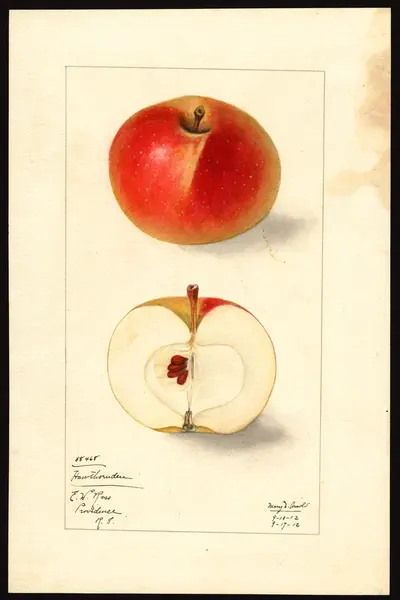 Watercolor of Hawthornden