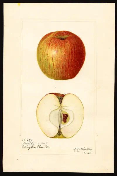 USDA watercolor illustration of Family