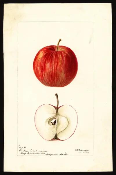 Watercolor of Forden