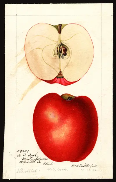 Watercolor of Klickitat