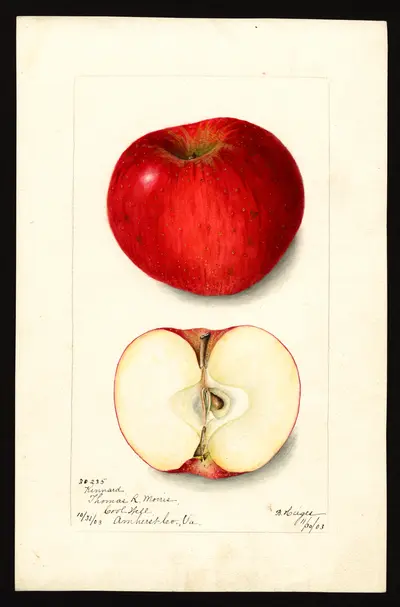 Watercolor of Kinnaird