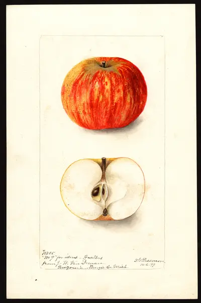 Watercolor of Hurlbut