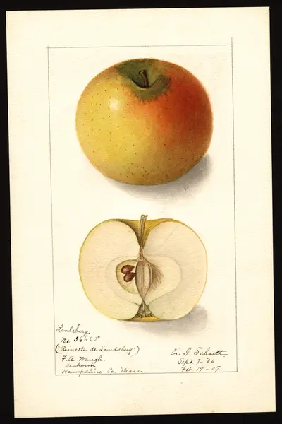 Watercolor of Landsberg