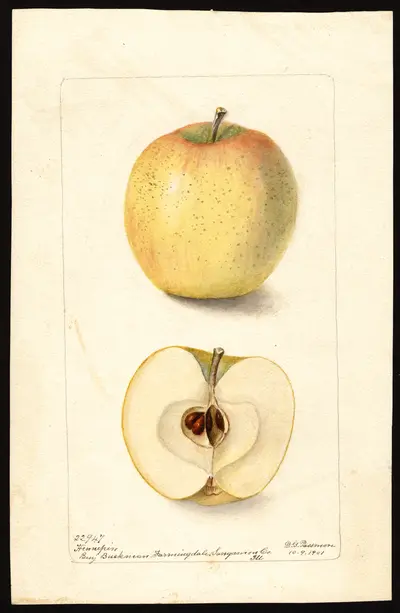 Watercolor of Hennepin