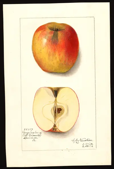 Watercolor of Lansingburgh