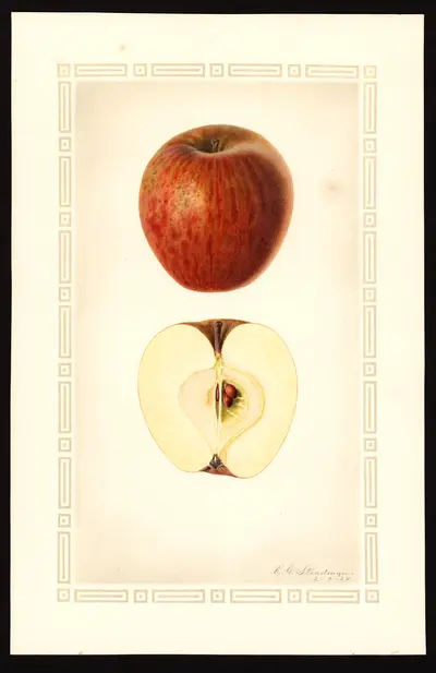 Watercolor of Launette