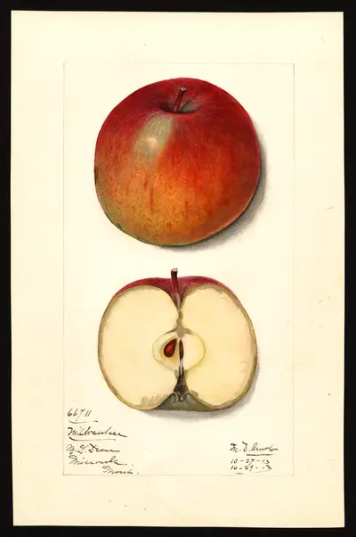 Watercolor of Milwaukee