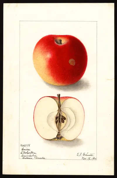 Watercolor of Louise