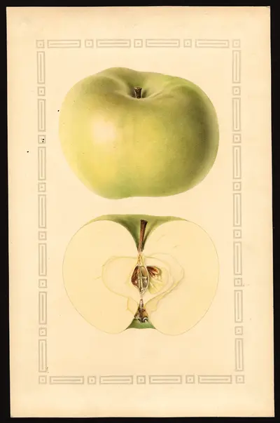 Watercolor of Loddington
