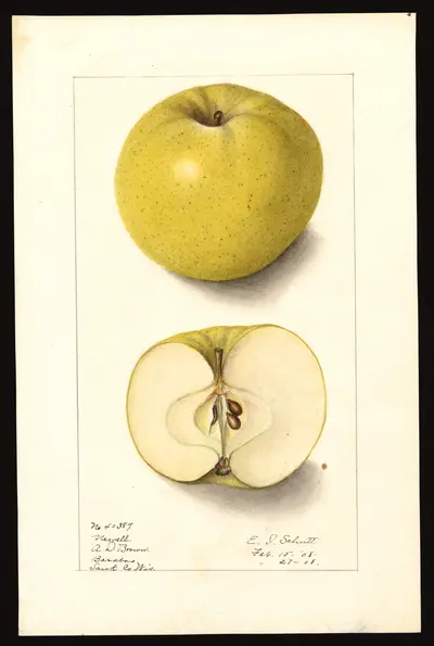 Watercolor of Newell