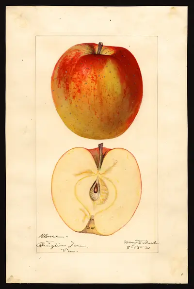 USDA watercolor illustration of Palouse