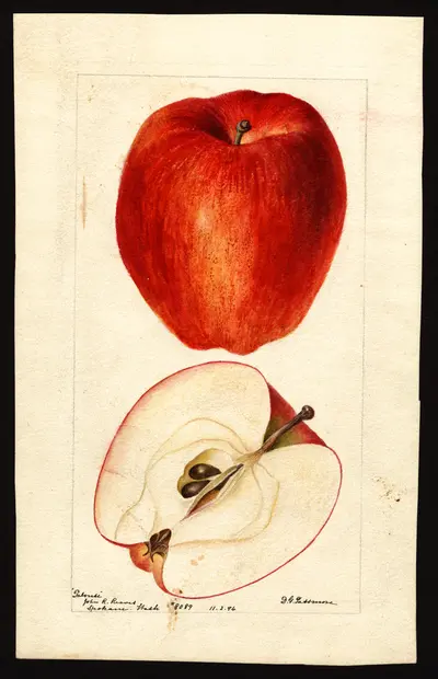 USDA watercolor illustration of Palouse