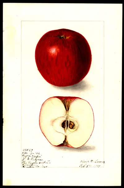 Watercolor of Payne