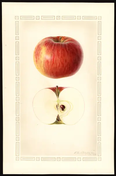 Watercolor of Shiawassee