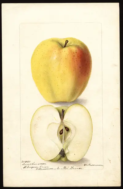 Watercolor of Saint Sauveur