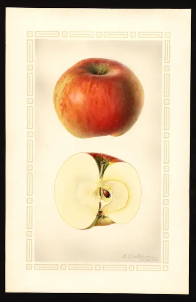 Watercolor of Rabun