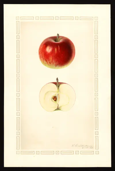 Watercolor of Sandbrook