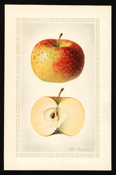 USDA watercolor illustration of Smokehouse