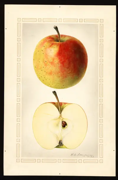 USDA watercolor illustration of Smokehouse