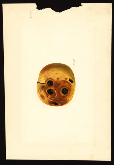 USDA watercolor illustration of Grimes Golden