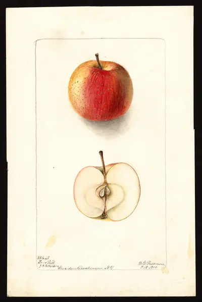 Watercolor of Tom Putt