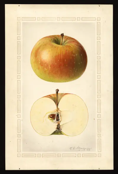 USDA watercolor illustration of Smokehouse