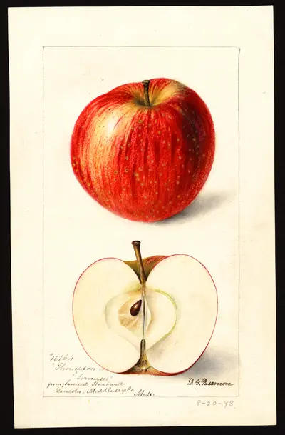 Watercolor of Thompson