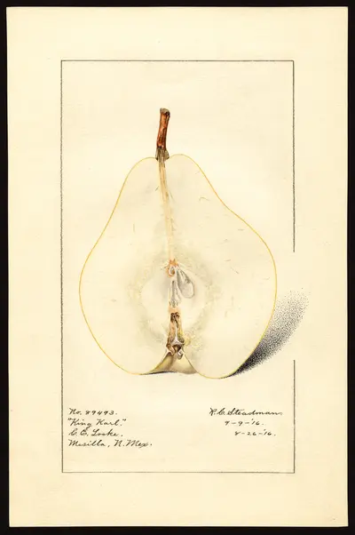 Watercolor of King Karl