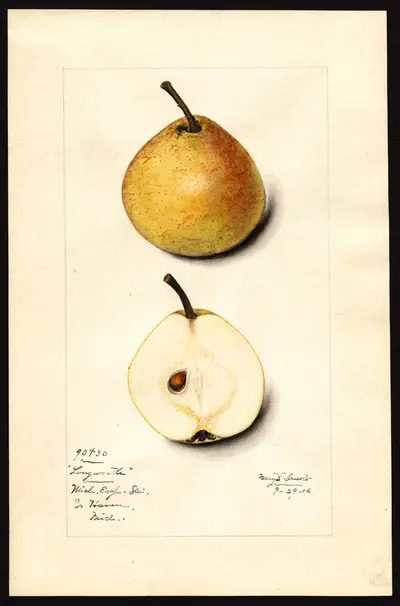 Watercolor of Longworth