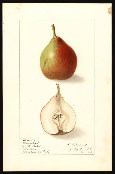 Watercolor of Maynard